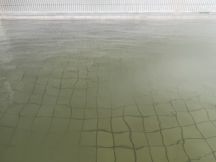 70751-2.jpg