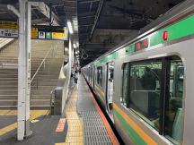70771.jpg