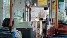 70848-2.jpg