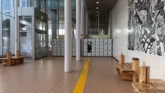 70894-1.jpg