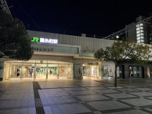 70991-1.jpg