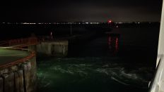 71020.jpg