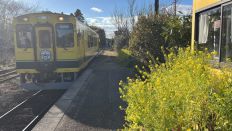 71046-2.jpg