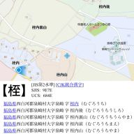 71074-3.jpg