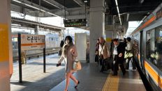 71203-2.jpg
