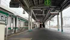 71233-2.jpg