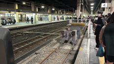 71301-2.jpg