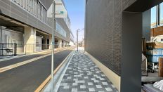 71329-2.jpg