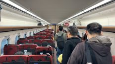 71337-3.jpg