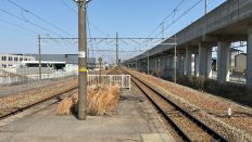 71341-1.jpg