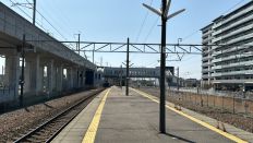 71341-2.jpg
