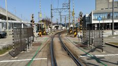 71343-1.jpg