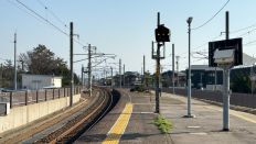 71353-1.jpg
