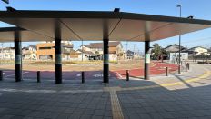 71354-2.jpg