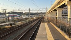 71360-1.jpg