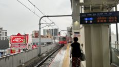 71390.jpg