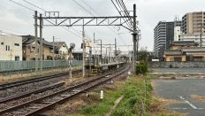 71394.jpg