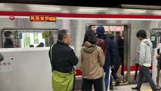 71449-1.jpg