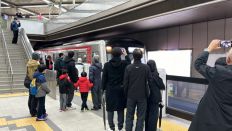 71449.jpg
