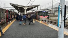 71499.jpg