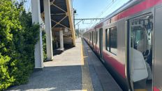 71534.jpg