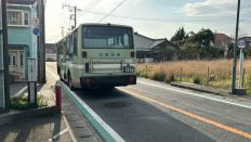 71566.jpg