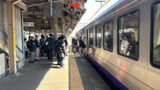 71631.jpg