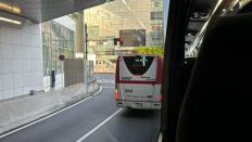 71645-1.jpg