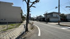 71687-1.jpg
