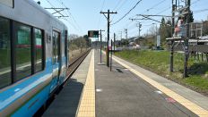 71691.jpg