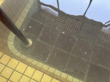 71742-2.jpg