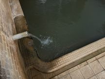 71747-1.jpg