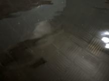 71748-1.jpg