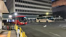 71781.jpg
