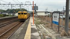 71788.jpg
