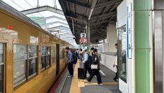 71791.jpg