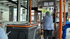 71792-1.jpg