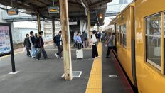 71802.jpg