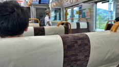 71876-2.jpg