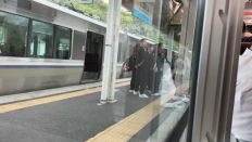 71876.jpg
