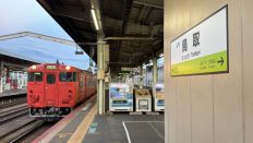 71896-1.jpg