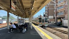 71932.jpg