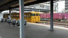 72046.jpg
