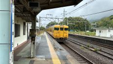 72047.jpg
