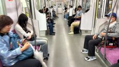 72074-2.jpg