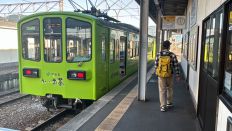 72126-3.jpg
