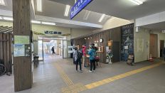 72146-2.jpg