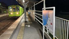 72176.jpg