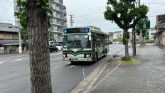 72192.jpg