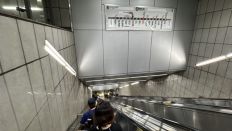 72239-2.jpg